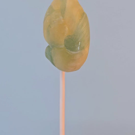 video blue raspberry swirl lollipop spirulina